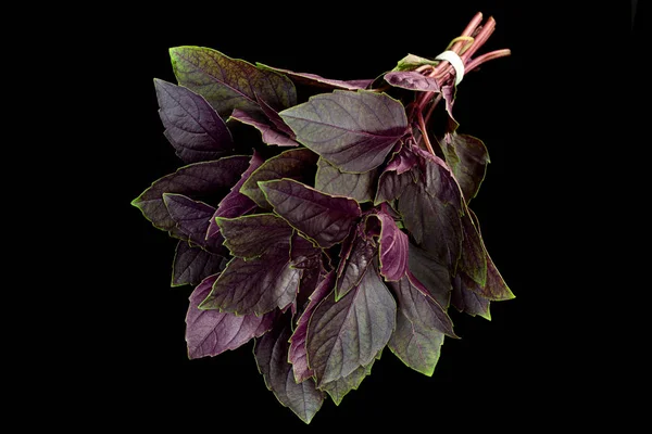 Фиолетовый Базилик Травы Изолированы Черном Фоне — стоковое фото