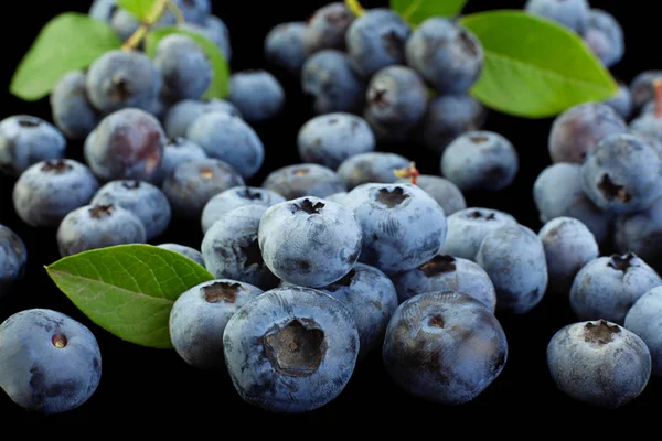 Blueberry Dengan Daun Tertutup Terisolasi Pada Latar Belakang Hitam — Stok Foto