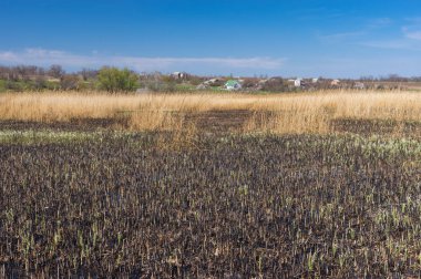 Yatay, rush küçük bir nehir üzerinde bahar mevsimi yanmış.