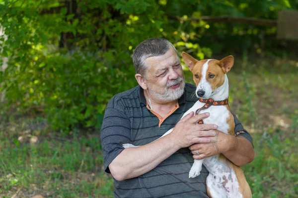 Bärtiger Älterer Mann Gespräch Mit Seinem Niedlichen Hund Basenji Der — Stockfoto