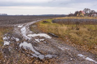 Ukraynalı köyde uzak Poltava bölge için önde gelen bir kirli toprak yol ile kırsal manzara