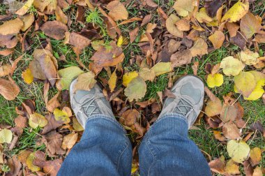 Kuru yeşillikve insan bacakları ile sonbahar sahne spor ayakkabı giyen ve yerde ayakta