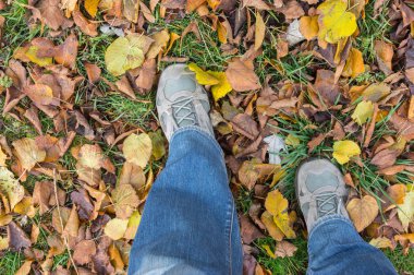 Erkek kot pantolon ve spor ayakkabı kuru yeşillik ile kaplı bir sonbahar zemin üzerinde adım yapıyor giyen (yukarıdan ateş)
