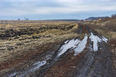 Tarım Peyzaj toprak yol geç Sonbahar sezonu Poltavskaya oblast, Ukrayna hasat Mısır alan yanında ile