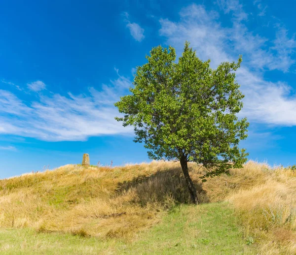 Antik mezar Höyüğü ve yalnız kayısı ağacı ile geç yaz sezonu manzara