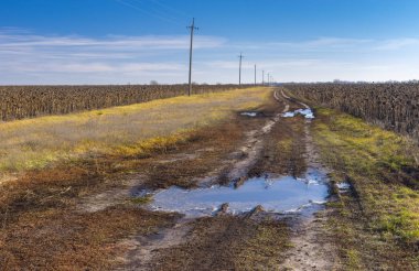 Kirli yol geç Sonbahar sezonu Merkezi Ukrayna olgun ayçiçeği alanlar arasında ile manzara