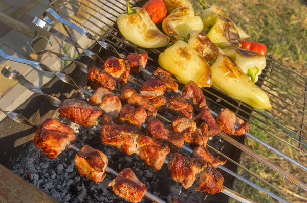 Pedaços Carne Porco Com Pimentos Cozidos Livre Carvões Ardentes — Fotografia de Stock