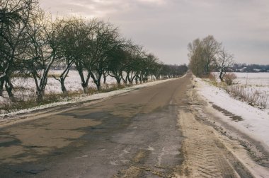 Geç sonbahar yatay, uzak boş yol Velyka Pavlivka Köyü Poltavskaya oblast, Ukraine