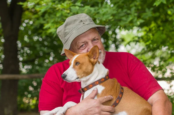 Außenporträt Eines Glücklichen Basenji Hundes Den Händen Seines Bärtigen Herrchens — Stockfoto