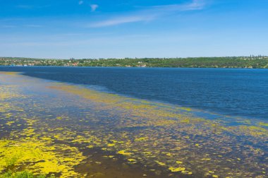 Erken yaz yatay, sümüklü Dnipro riverside, Ukrayna