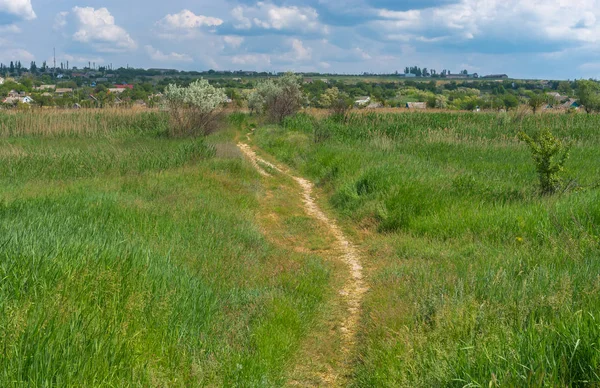 Letní Krajina Pěší Cestou Vzdálené Domy Ukrajinské Vesnici Kamians Zaporizhzhia — Stock fotografie