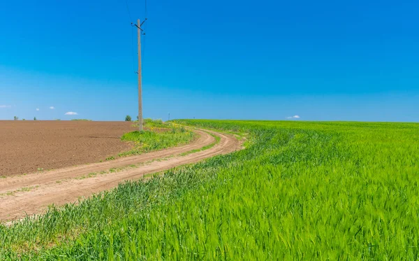Lente Landschap Met Een Aarde Weg Tussen Agrarische Velden Centraal — Stockfoto