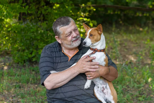 Bärtiger Älterer Mann Nimmt Seinen Niedlichen Hund Basenji Die Hände — Stockfoto