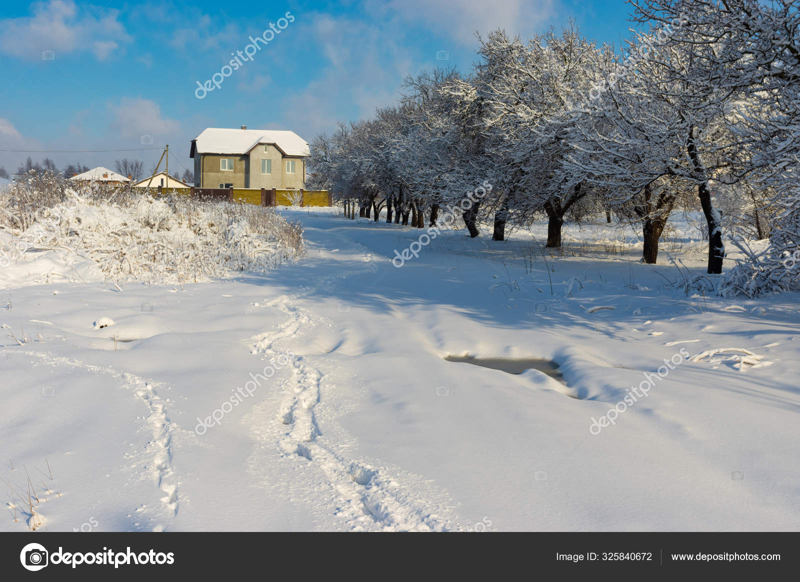 Winter Landscape Pedestrian Path Snow Covered Earth Road Orchard Ukrainian Stock Photo C Yurikr
