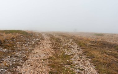 Babuhan Yaila 'da, Kırım yarımadasında, sisli, boş ortaçağ kayalık yolu ile sonbahar manzarası