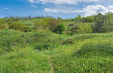 Ukrayna 'nın Skelki köyü yakınlarındaki Dnipro nehir kıyısında yaya yolu olan bahar tepesi manzarası.