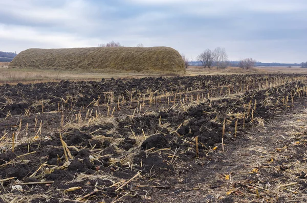 Sonbahar mevsiminde Ukrayna 'da samanlığın yanında hasat edilen mısır tarlalarıyla tarım arazisi