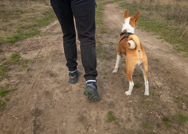 地下道の犬と一緒にトラックパンツやランニングシューズを着用し 毎日実行する準備ができて — ストック写真