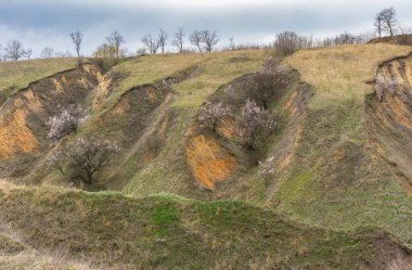 Ukrayna 'nın Dinyeper kenti yakınlarındaki vadilerde toprak erozyonu ve çiçek açan kayısı ağaçlarıyla ilkbahar başları manzarası