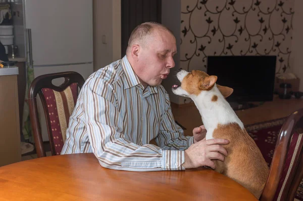 Basenji Hund Unterhält Sich Hart Mit Herrchen Das Tisch Sitzt — Stockfoto