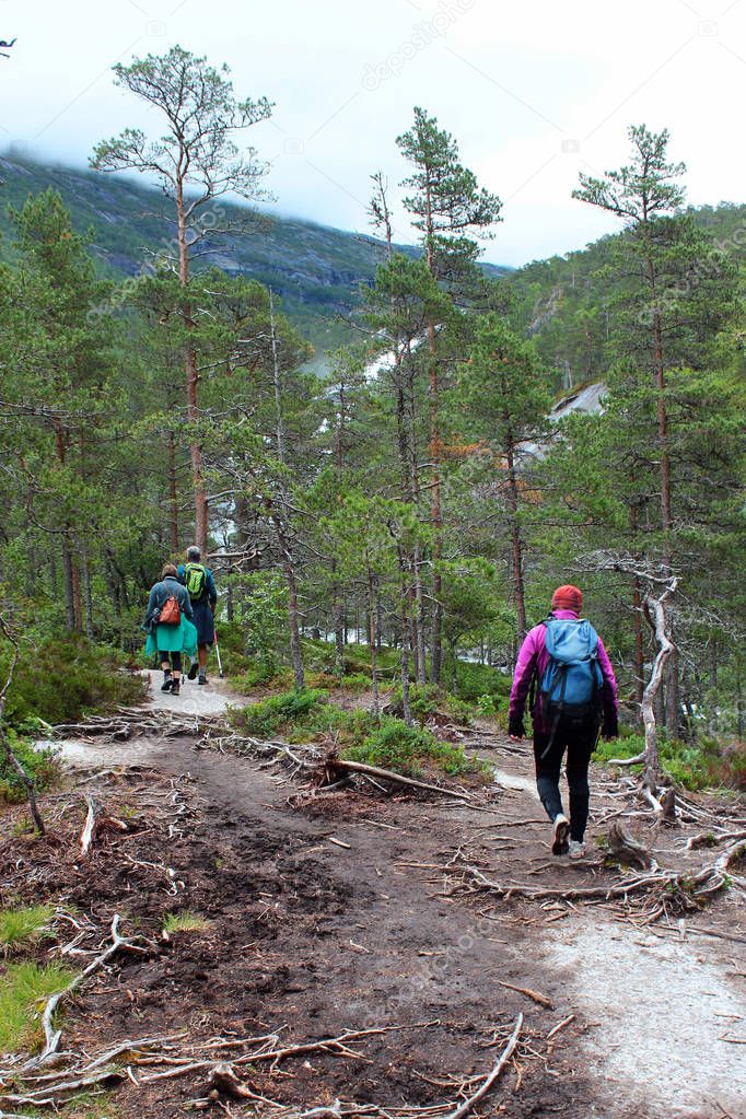 Hiking in Husedalen valley, Kinsarvik, Norway
