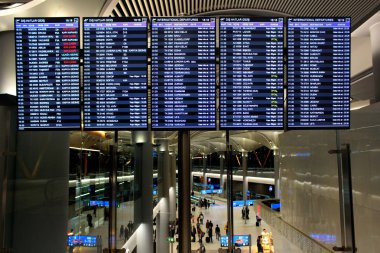 Yeni İstanbul Havaalanı, Türkiye 'deki varış salonunun içi