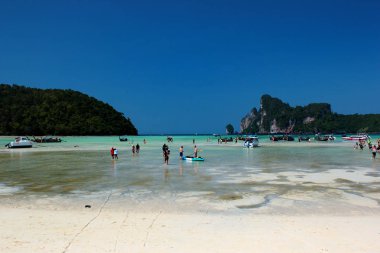 Tayland 'ın Krabi eyaletindeki Phi Phi Don Adası' ndaki Cennet Koyu manzarası