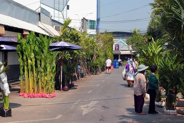 Квітковий базар Чатучак у Бангкоку (Таїланд). — стокове фото
