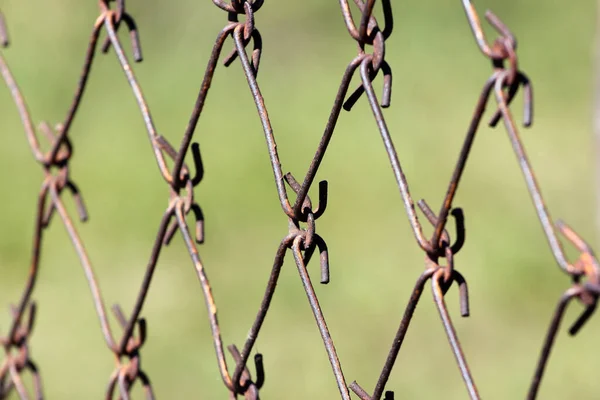 Draadnet Van Oud Lentebed — Stockfoto