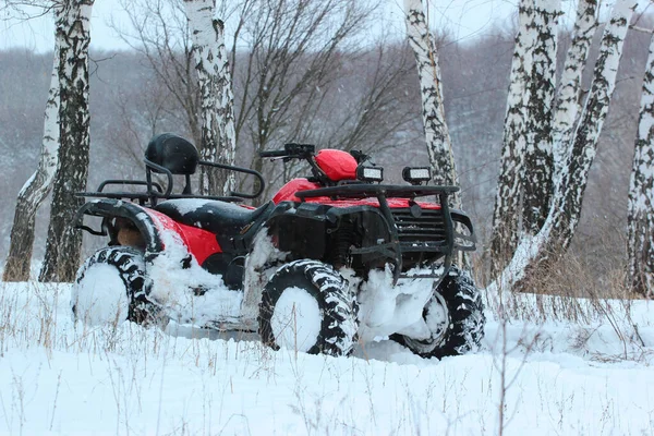 Neve Coberta Atv Floresta Inverno — Fotografia de Stock