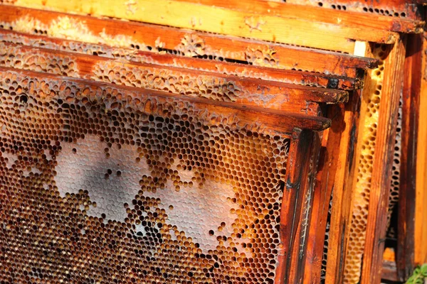 Old Honeycomb Frames Wooden Beehive Stock Picture