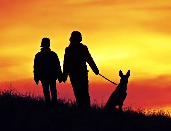 Crianças Cães Malinois Pôr Sol — Fotografia de Stock