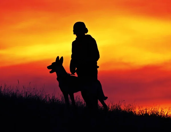 Solnedgången Flicka Och Hund — Stockfoto