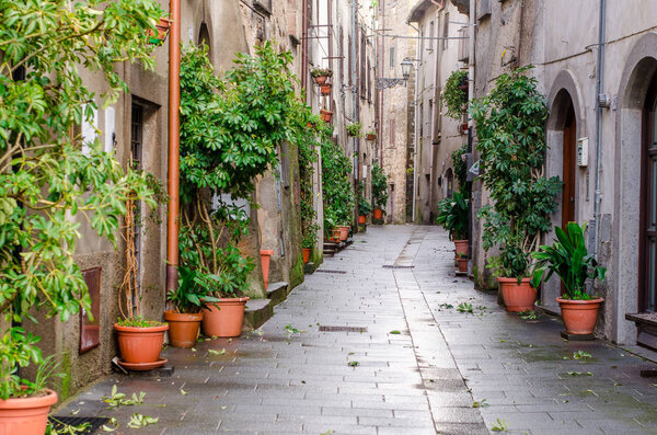 Historic city of marta, a street among ancient houses embellished with plants and flowers
