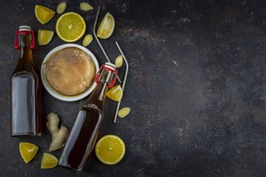 Kombu-Ça süper-yiyecek profosyonel biyotik çay mantarı. Cam şişede, koyu arkaplanda portakal ve greyfurt var. Metal kokteyl pipetleriyle. Boşluğu kopyala