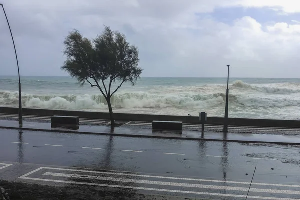 Atlantik Okyanusu manzaralı. Sao Miguel Adası, Azores, Portekiz.