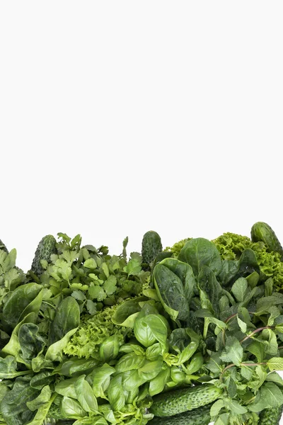Isolado Ervas Verdes Fragrantes Frescas Branco Manjericão Coentro Salada Espinafre — Fotografia de Stock