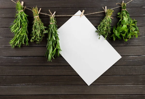 fragrant seasonings of green herbs, thyme, rosemary, arugula and cilantro dried on a rope. on a dark wooden background. mockup. copy space