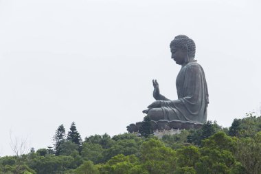 Hong Kong Po Lin manastırda çok büyük Tian Tan Buddha