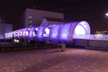ışık tüneli gece, Odaiba, Japonya 