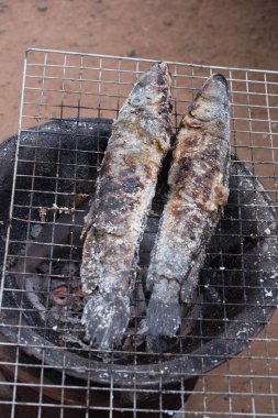 tuz ile çizgili yılanbaşı balık ızgara 