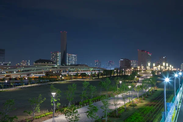 Gece, Odaiba, Japonya şehir ile Bahçe yürüme yolu — Stok fotoğraf