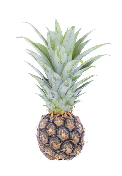 Mały ananas na białym tle — Zdjęcie stockowe