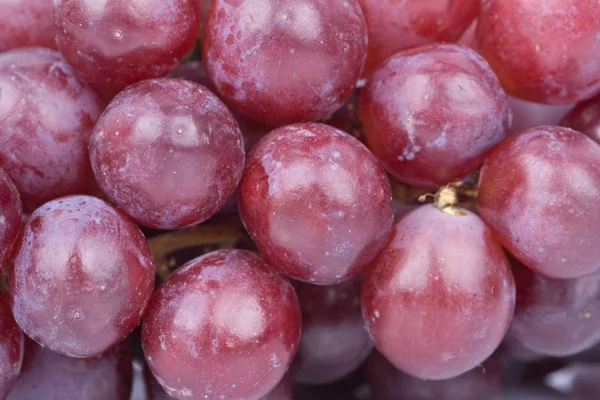 Cerrar las uvas rojas — Foto de Stock