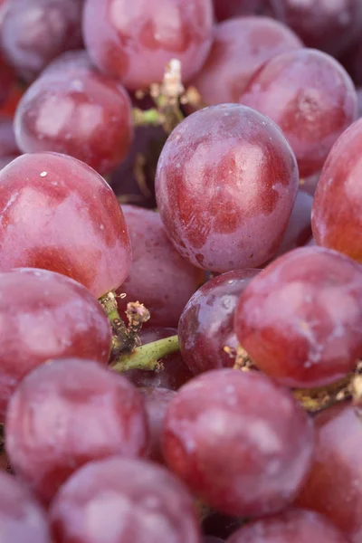 Close up red grapes — Stock Photo, Image