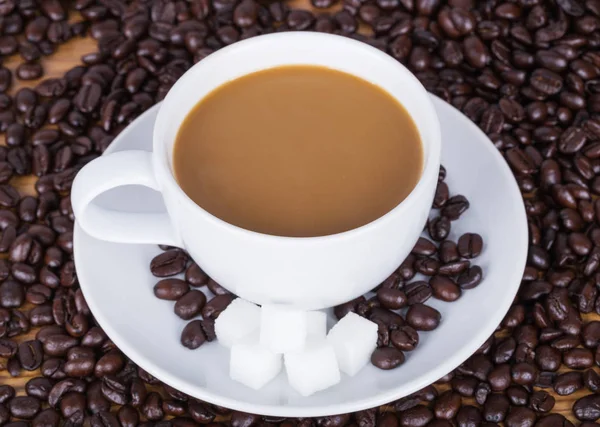 Tasse à café avec sucre et haricots — Photo