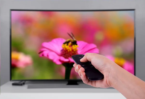 Mão segurando o controle remoto de Tv com uma televisão e natureza scre — Fotografia de Stock