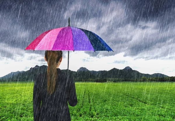 Üzletasszony, többszínű esernyő eső gazdaság egy — Stock Fotó