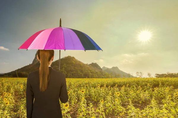 Mujer de negocios sosteniendo paraguas multicolor en el campo de girasol — Foto de Stock