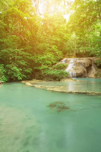 Neolissochilus stracheyi Seviye 1 Erawan şelale ben balık